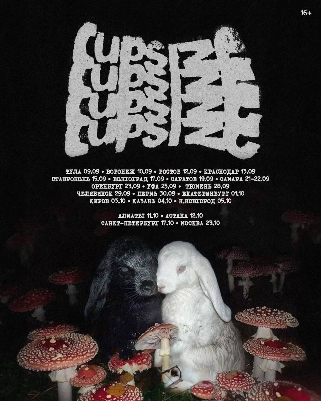 cupsize