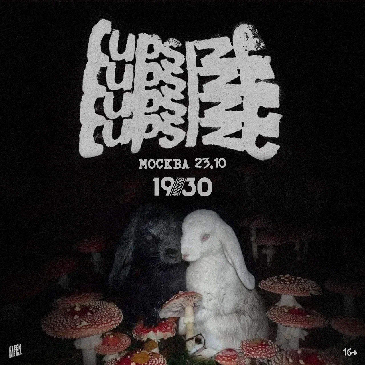 cupsizemsk