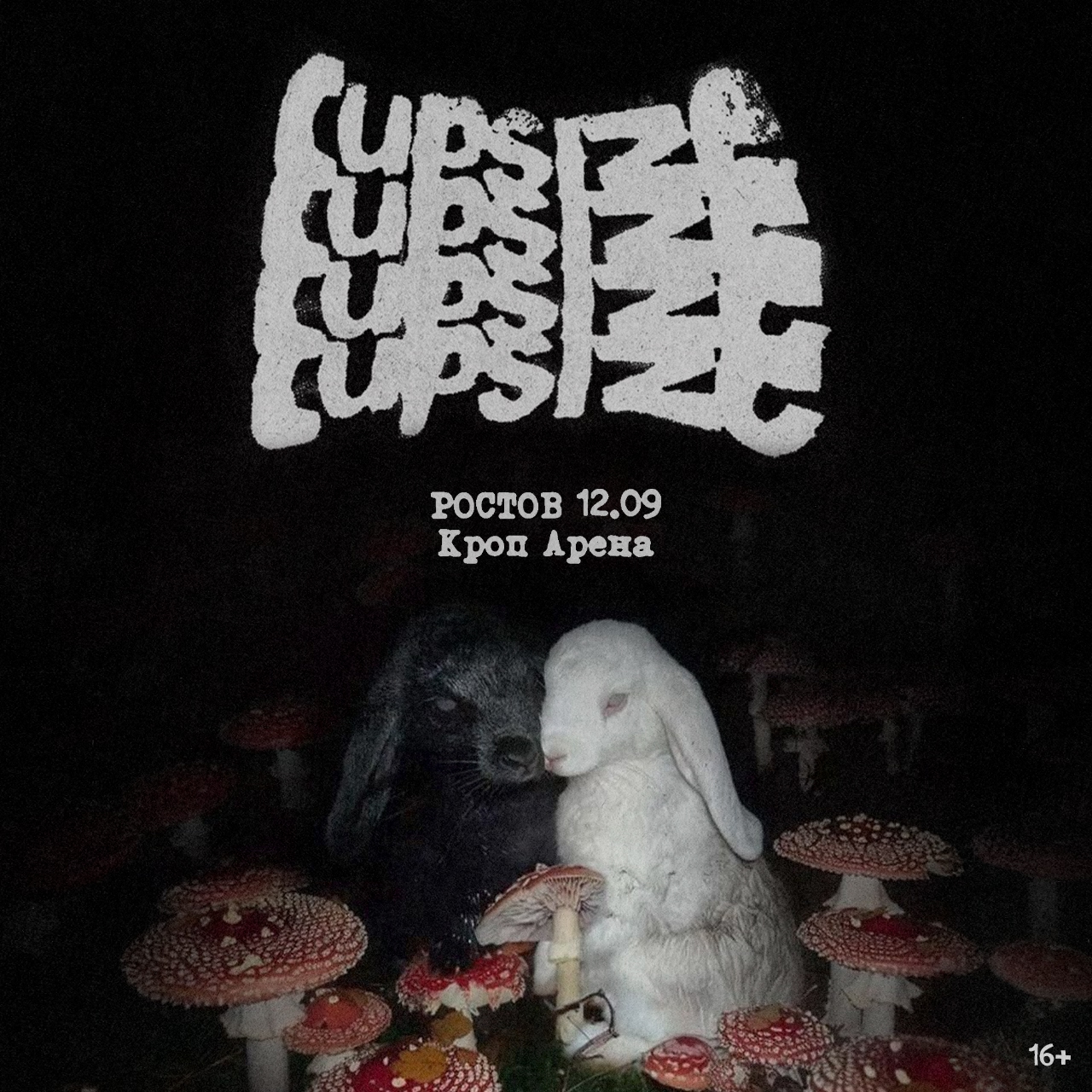 cupsizeros