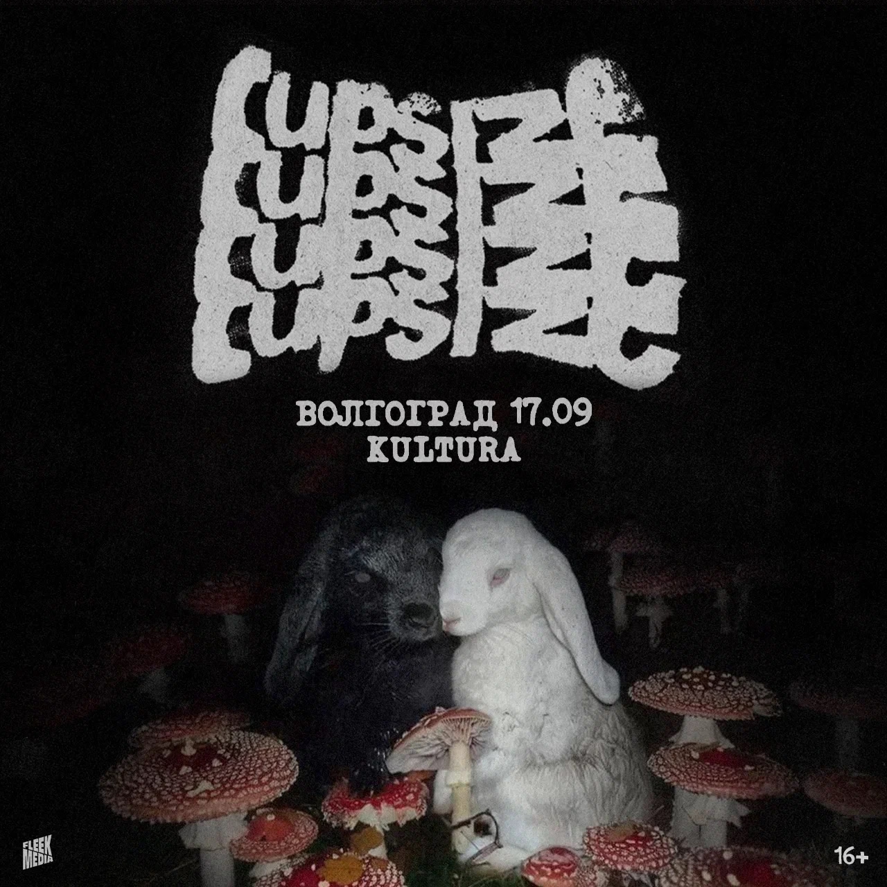 cupsizevolgog